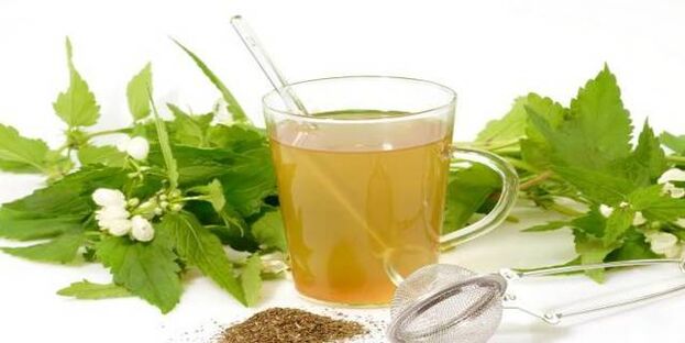 ziołowa nalewka przeciw pasożytom